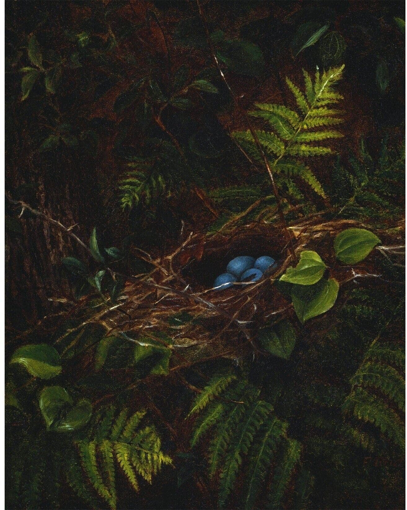 Fidelia Bridges artwork