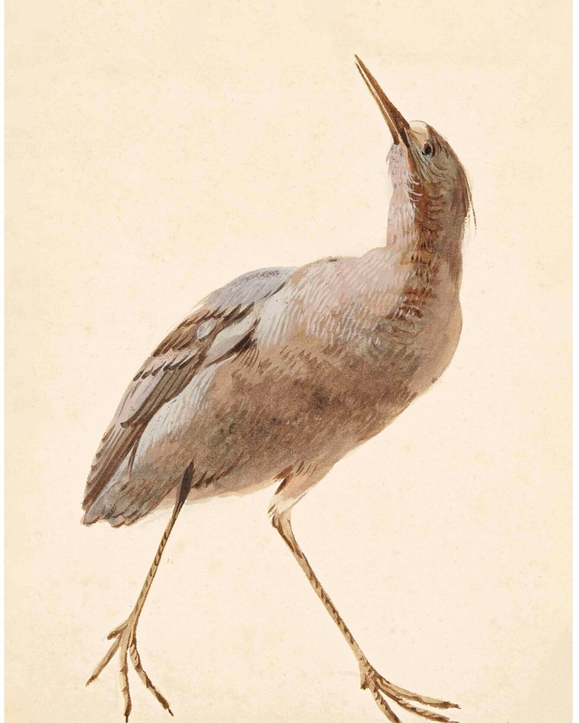 Aert Schouman artwork