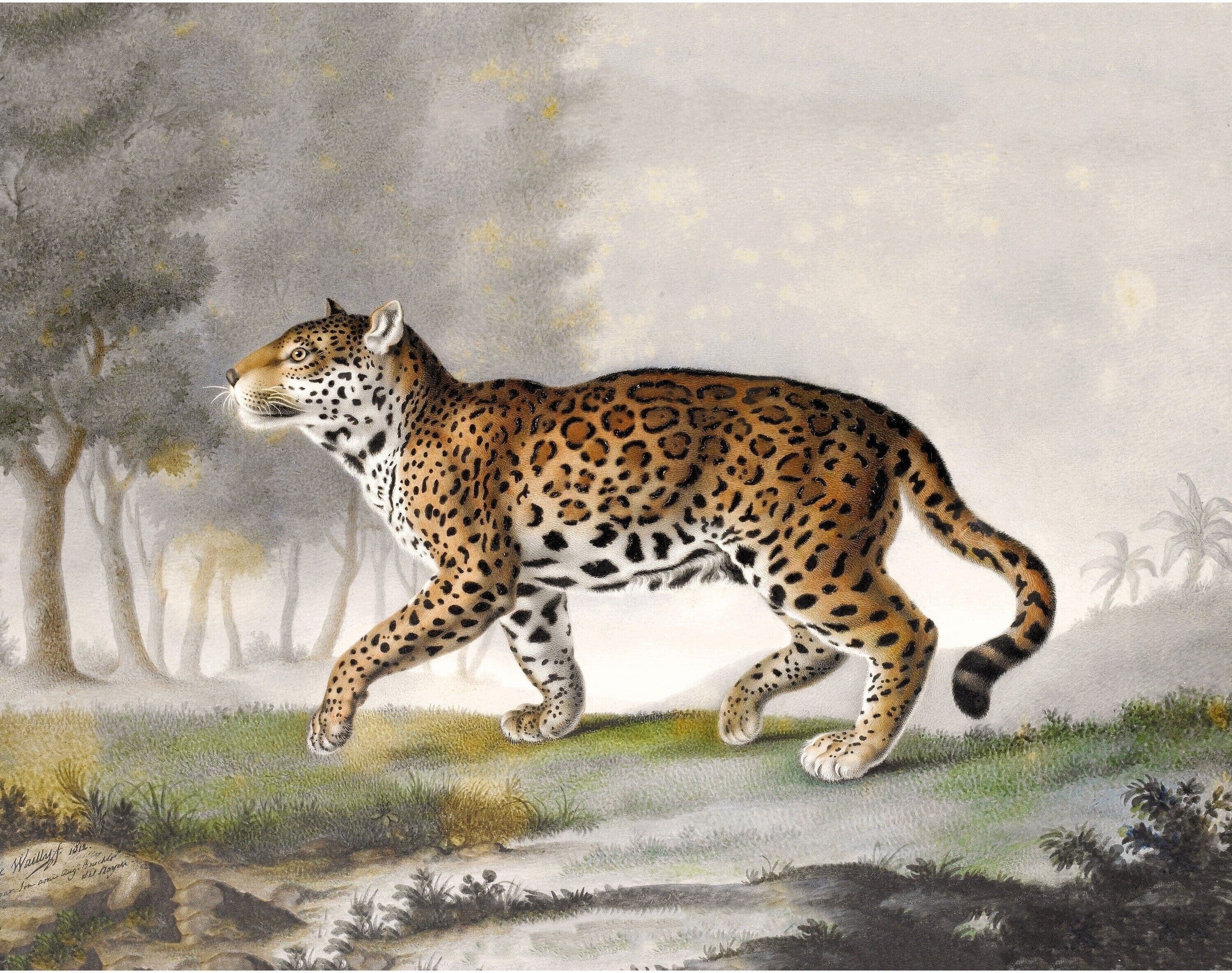 Léon de Wailly artwork