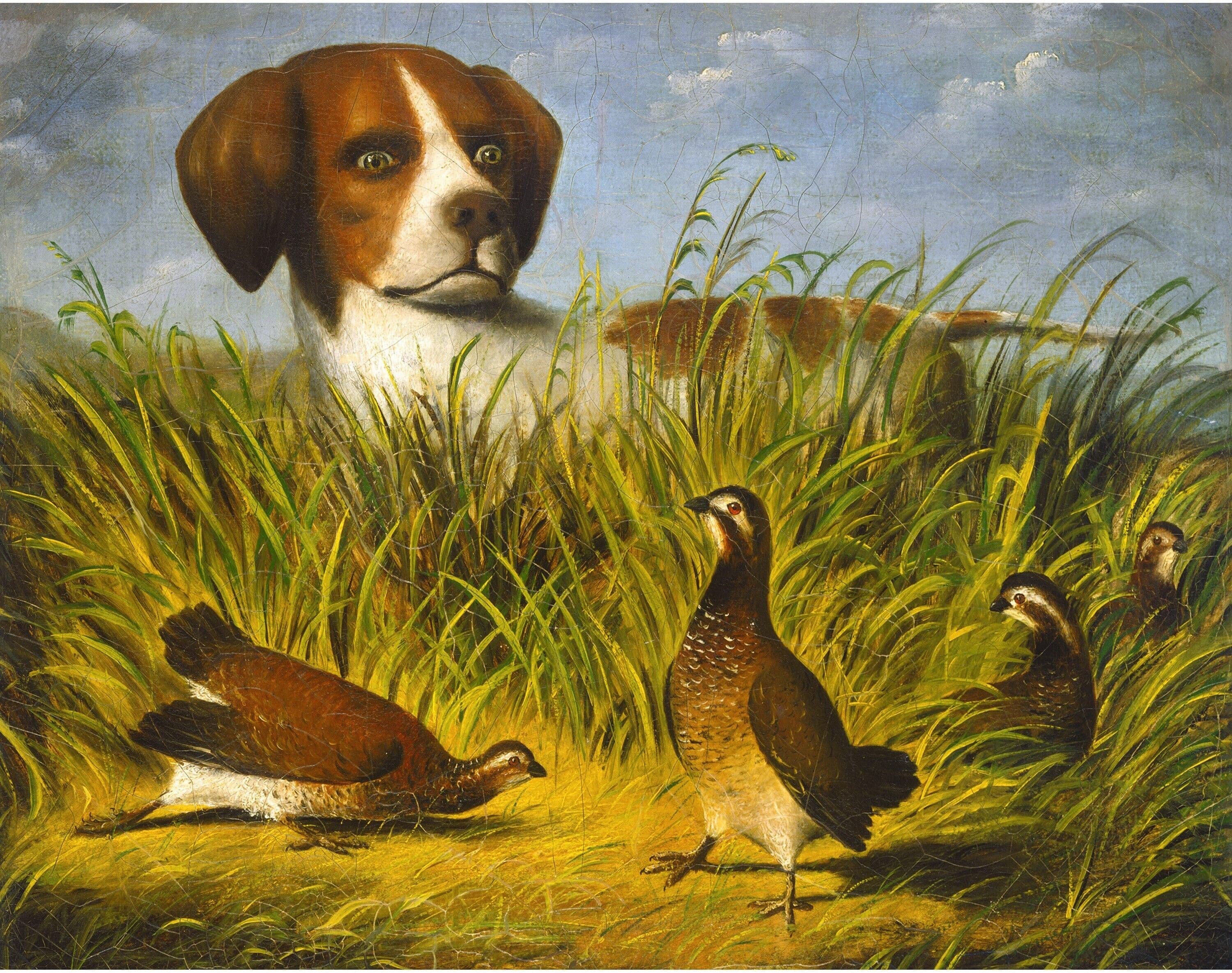 D.G. Stouter artwork