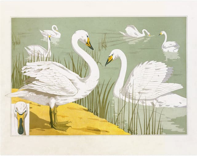 Verneuil – Art Nouveau Swan Digital Download